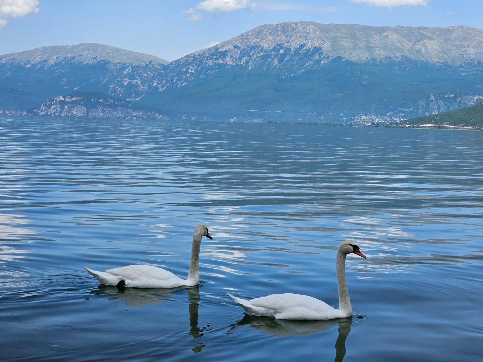 Hotel Enkelana Pogradec